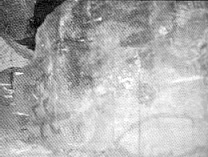 Carcter rupestre del siglo XVII en el semidesierto de Cadereyta